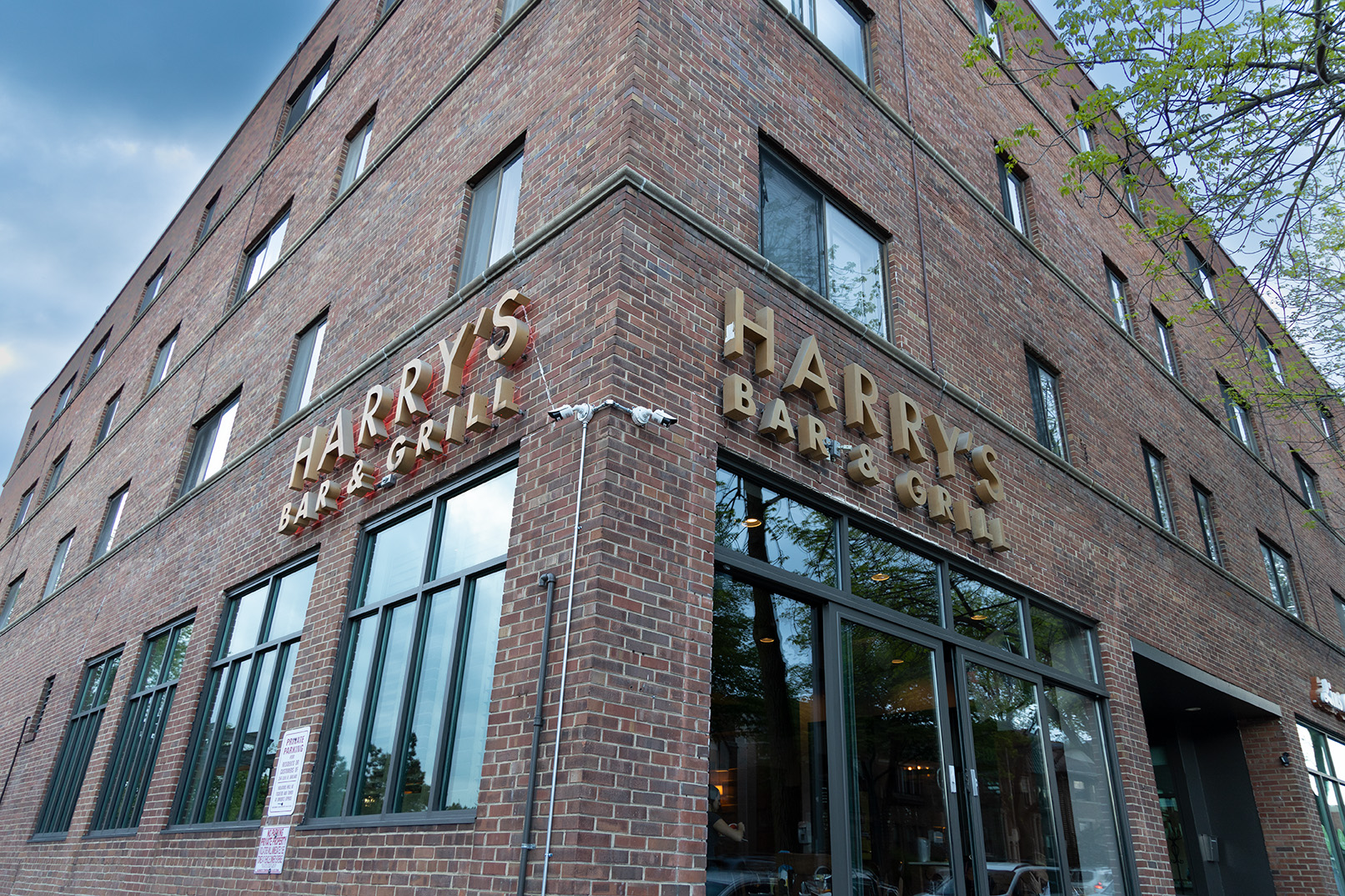Harry's Bar & Grill - Shepherd Express